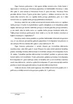 Prakses atskaite 'Pirmskvalifikācijas prakses atskaite prokuratūrā', 17.