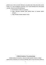 Eseja 'Filosofija un filosofēšana', 5.