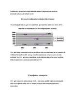 Konspekts 'Ievads specialitātē - transporta nozare', 5.