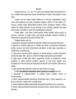 Prakses atskaite 'Starptautiskie ekonomiskie sakari uzņēmumā vai iestādē', 3.