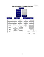 Prakses atskaite 'Starptautiskie ekonomiskie sakari uzņēmumā vai iestādē', 21.