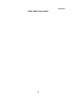 Prakses atskaite 'Starptautiskie ekonomiskie sakari uzņēmumā vai iestādē', 22.