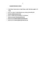 Referāts 'Starpkultūru attiecības Latvijas skatījumā', 8.