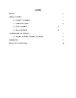 Referāts 'Renesanses izpausmes Nīderlandē (15.-16.gadsimta pirmā puse): brāļi van Eiki, Ro', 1.