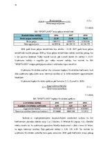 Prakses atskaite 'SIA "Sportland" uzņēmuma analīze', 14.