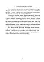 Referāts 'Globālo ekonomisko problēmu analīze pasaules ekonomikā', 19.