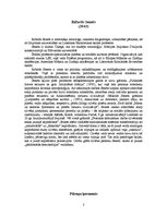 Referāts 'Ričards Senets "Pilsoņa ķermenis"', 2.