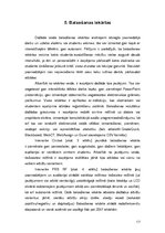 Referāts 'Modernās prezentāciju ierīces', 17.