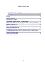 Referāts 'Izmaksu klasifikācija pašizmaksas aprēķinos', 2.