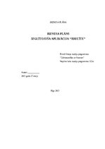 Biznesa plāns 'Biznesa plāns - izglītojoša aplikācija “ĀBECĪTE”', 1.