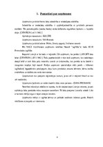 Biznesa plāns 'Biznesa plāns - izglītojoša aplikācija “ĀBECĪTE”', 5.