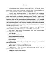 Referāts 'Personības veidošanās process dažādos vecuma posmos', 3.