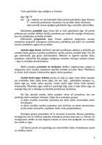 Referāts 'Darba algas sistēmas organizēšana uzņēmumā', 4.