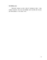 Referāts 'Tūrisms un tā attīstība Saldū', 13.