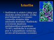 Prezentācija 'Stafilokoki', 10.
