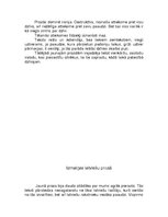 Referāts 'Izmaiņas latviešu prozā 80.gados jeb "jaunā viļņa" proza', 18.