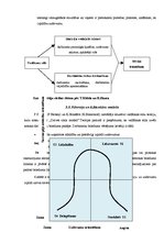 Referāts 'Vadības stils un tā nozīme kolektīva veidošanā SIA "Dinors"', 18.