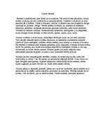 Eseja 'Cilvēka dzīves vērtības', 1.