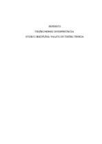 Referāts 'Tiesību normu interpretācija', 1.