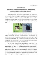 Eseja 'Celtniecības materiāli cilvēku labklājības nodrošināšanai, apzinoties pagātni un', 1.