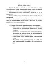 Referāts 'LLU studentu attieksme pret izvēlēto studiju programmu', 4.