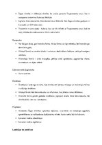 Konspekts 'Parazitoloģija', 13.