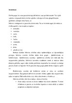 Konspekts 'Parazitoloģija', 19.