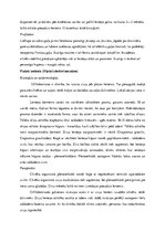 Konspekts 'Parazitoloģija', 26.