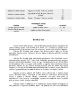 Konspekts 'Finanšu analīze "Radisson Blu Elizabete Hotel"', 3.