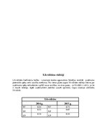 Konspekts 'Finanšu analīze "Radisson Blu Elizabete Hotel"', 7.