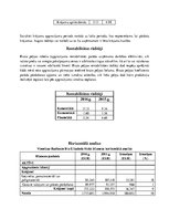 Konspekts 'Finanšu analīze "Radisson Blu Elizabete Hotel"', 9.
