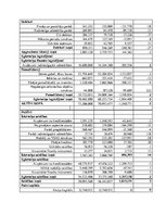 Konspekts 'Finanšu analīze "Radisson Blu Elizabete Hotel"', 10.