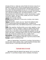 Prezentācija 'Sarkanās krāsas nozīme sabiedrībā un logo', 2.