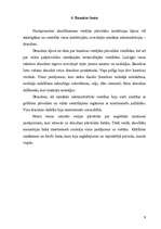 Referāts 'Anglijas konstitucionālo tiesību akti un to nozīme tiesiskas valsts veidošanā', 9.