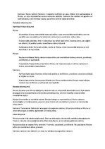 Konspekts 'Alberta Kamī "Svešinieks" teksta analīze', 2.