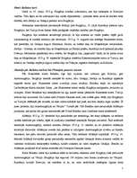 Referāts 'Balkāni pirms Pirmā pasaules kara', 7.