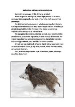 Eseja 'Meža cūkas mātītes precību sludinājums', 1.