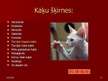 Prezentācija 'Kaķi', 9.