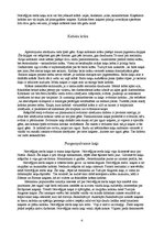 Referāts 'Mans kaķis', 6.