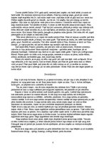 Referāts 'Mans kaķis', 8.