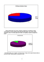 Referāts 'Mans kaķis', 11.