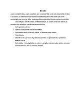 Referāts 'Aktīva dzīvesveida ietekme uz sirds veselību', 3.