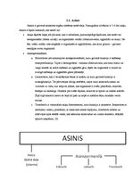 Referāts 'Aktīva dzīvesveida ietekme uz sirds veselību', 5.
