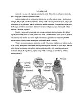 Referāts 'Aktīva dzīvesveida ietekme uz sirds veselību', 7.