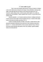 Referāts 'Aktīva dzīvesveida ietekme uz sirds veselību', 11.