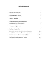 Biznesa plāns 'Uzņēmuma biznesa plāns', 15.