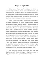 Biznesa plāns 'Uzņēmuma biznesa plāns', 21.