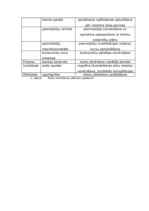 Biznesa plāns 'Uzņēmuma biznesa plāns', 26.