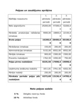 Biznesa plāns 'Uzņēmuma biznesa plāns', 30.