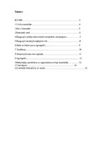 Referāts 'Civilā aizsardzība', 2.